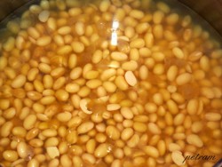 tempeh-2.jpg