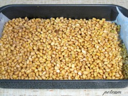 tempeh-5.jpg
