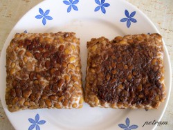 tempeh-17.jpg