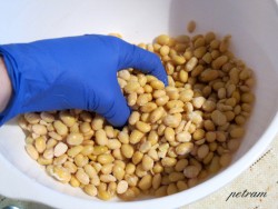 tempeh-9.jpg