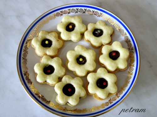nutelove-kyticky-2.jpg