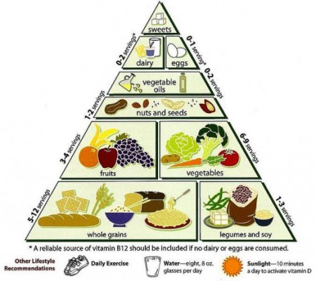 makrobio_pyramid-ii.jpg